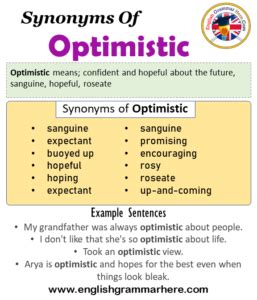 ostensibly synonym|synonyms for optimistic.